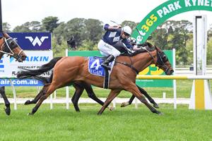 EGAN'S HOT FORM CONTINUES